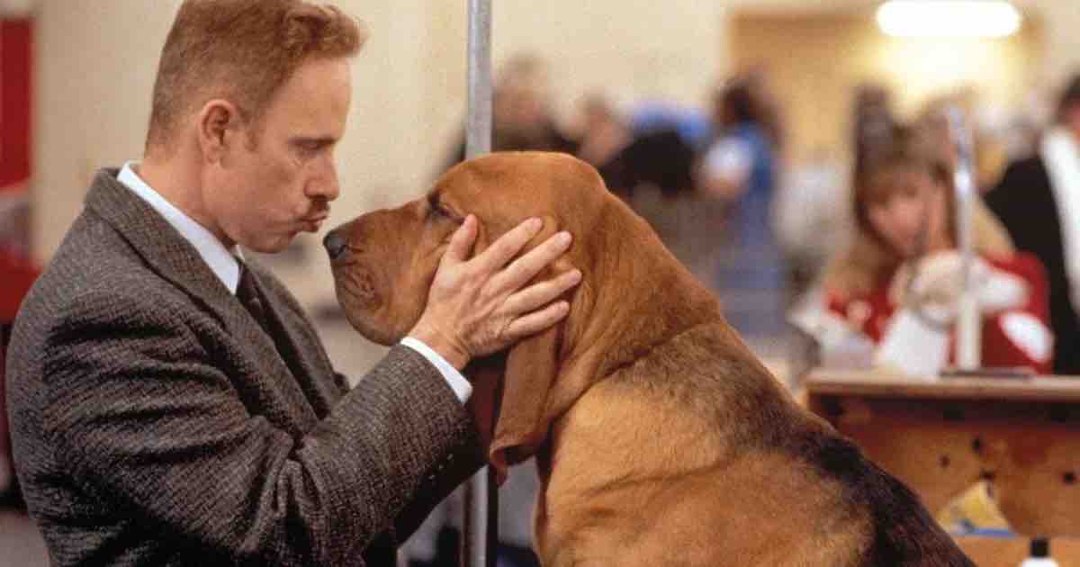 best dog movies 2022