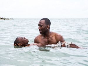 moonlight cinematographer