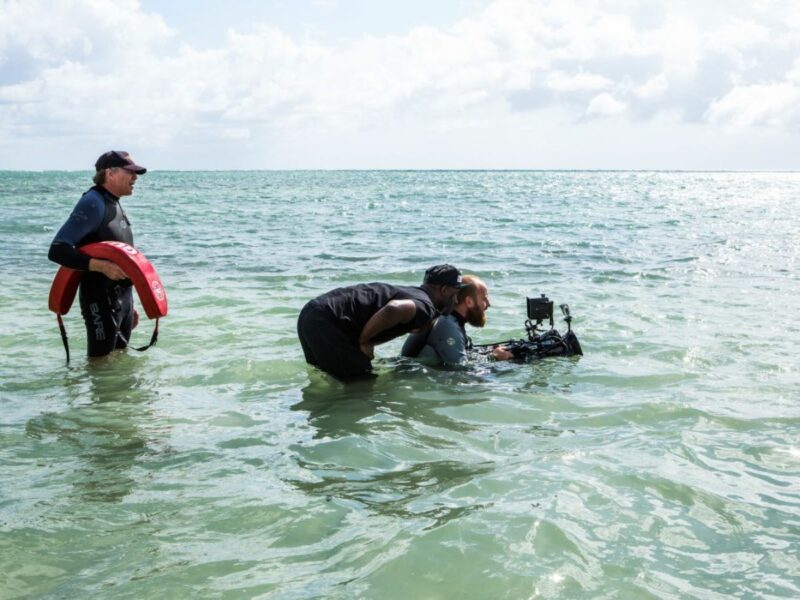 Camera Rigs Explained: 12 Types Of Rigs Used In Film & How They Work