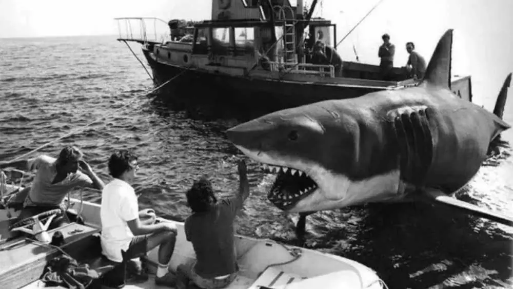 bruce shark