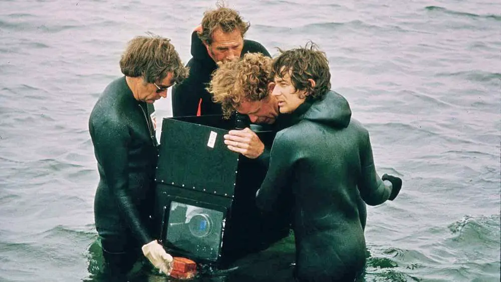 jaws trivia
